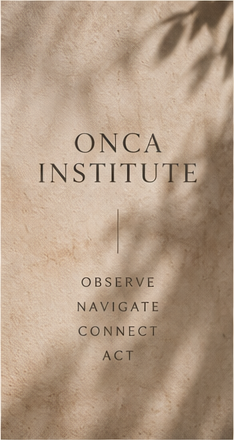 Onca Instituut kaart met Observe, Navigate, Connect, Act